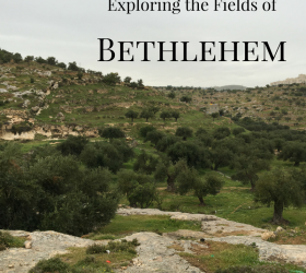 Exploring the Fields of Bethlehem