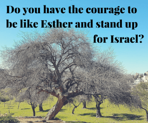 Dear Church, Do you have the courage to be like Esther and stand up for Israel?